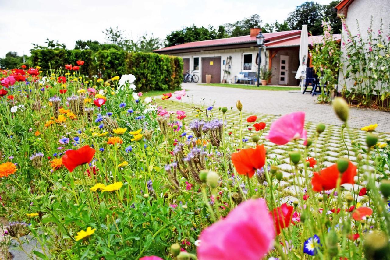 Ferienwohnungen Auf Dem Pommernhof Samtens Extérieur photo