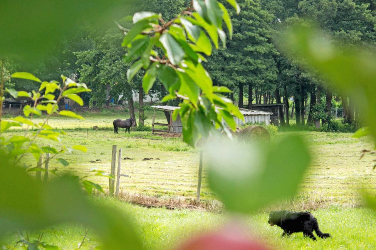 Ferienwohnungen Auf Dem Pommernhof Samtens Extérieur photo